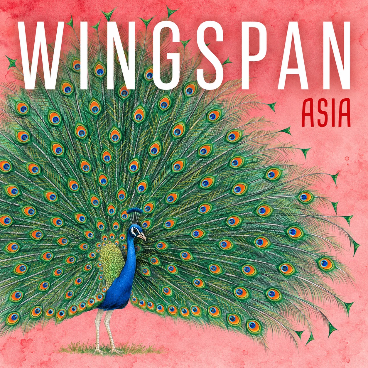Wingspan Asia 영문 원제 포함 게임 콘셉트 표지